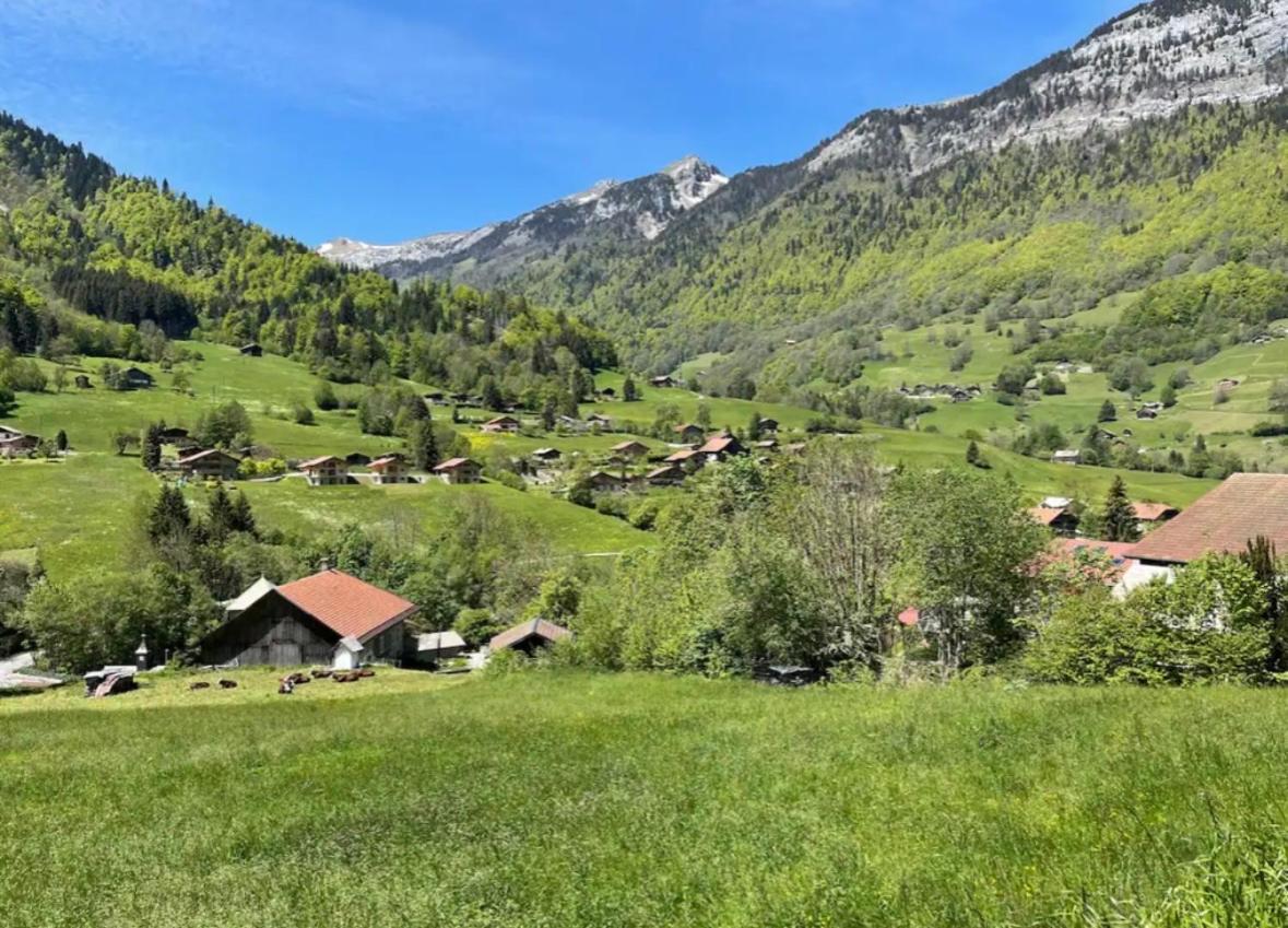 Neuf Chalet 4P Le Suet Jacuzzi Privatif Entremont Экстерьер фото